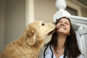 犬が足や手をなめる理由とは なめる行動から読みとれる気持ちを解説 みんなのペットライフ