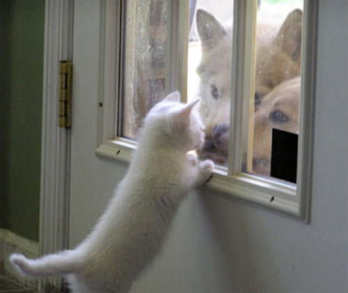 いらっしゃーい♪∩(*'ω'*)∩