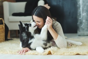 犬が甘える気持ちやしぐさ5選 飼い主を信頼してくっついてくる行動心理とは みんなのペットライフ 犬が甘える気持ちやしぐさ5選 飼い主を信頼してくっついてくる行動心理とは みんなのペットライフ