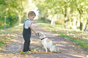 犬のため息に込められた意味とは 気持ちを知って愛犬との仲を深めよう みんなのペットライフ