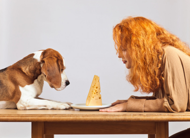 犬はチーズを食べていい チーズを与えるときの注意点や与え方について みんなのペットライフ