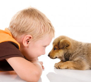 子どものいる家で犬を飼いたい 子どもと相性がいい犬は 注意点はあるの みんなのペットライフ 子どものいる家で犬を飼いたい 子どもと相性がいい犬は 注意点はあるの みんなのペットライフ