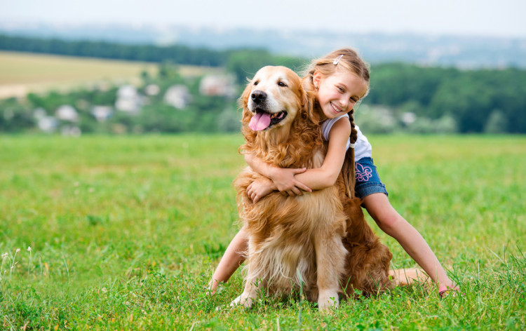 犬と子ども