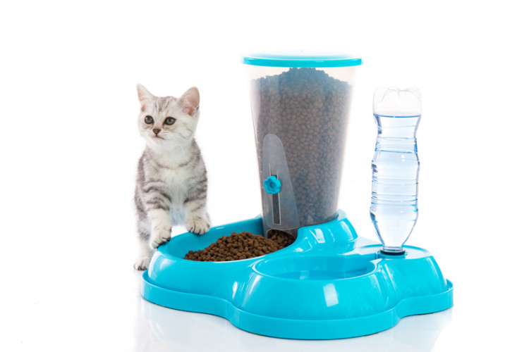 猫用自動給餌器が便利 選び方やおすすめの自動給餌器 注意点まで解説 みんなのペットライフ