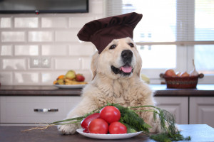 犬は枝豆を食べても大丈夫 あげ方や量 注意点についてご紹介 みんなのペットライフ 犬は枝豆を食べても大丈夫 あげ方や量 注意点についてご紹介 みんなのペットライフ