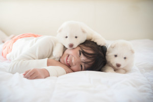 犬と一緒に寝るのはよくないの よくないと言われる理由と気をつけたいこと みんなのペットライフ 犬と一緒に寝るのはよくないの よくないと言われる理由と気をつけたいこと みんなのペットライフ