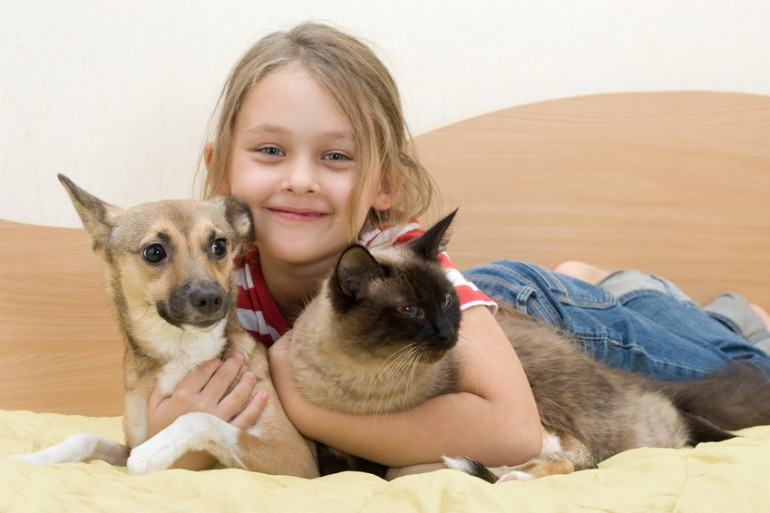 犬と猫と子ども