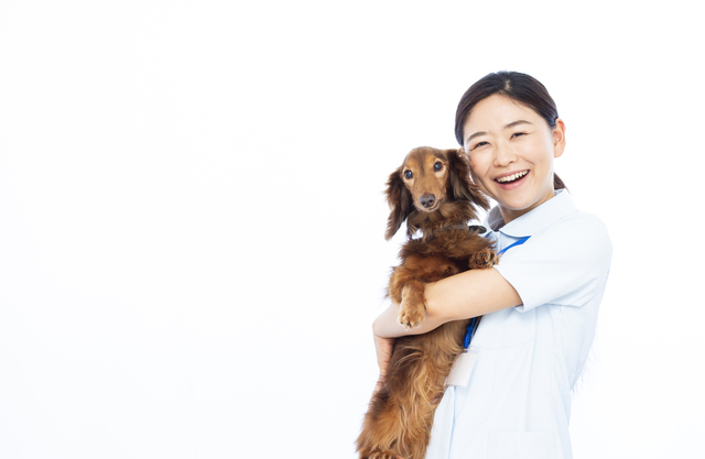 動物介護士の女性