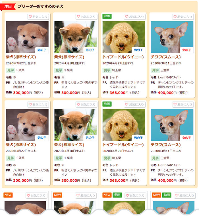 子犬販売サイト