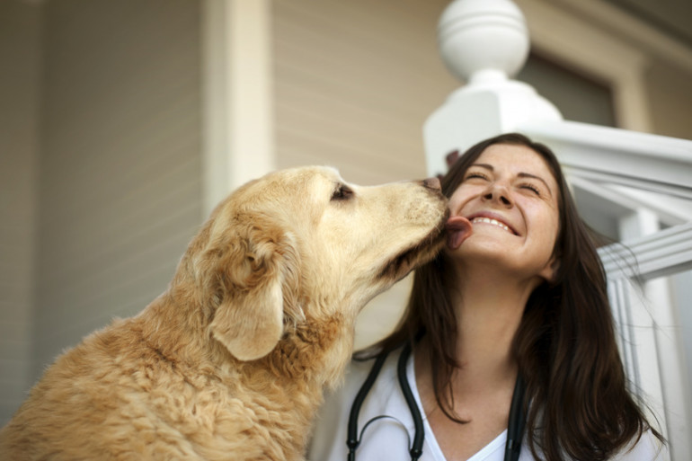 なぜ犬は他の犬のおしっこをなめるのでしょうか？