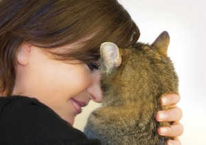 暴れる・噛み癖・いたずら】やんちゃな猫に効果的なしつけ方｜みんなの 