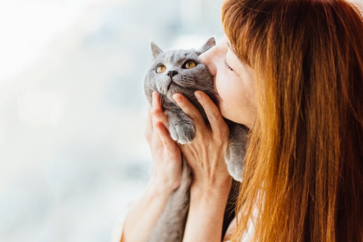 謎の良臭 洗ってないのに 猫はどうしてこんなにいいにおい みんなのペットライフ