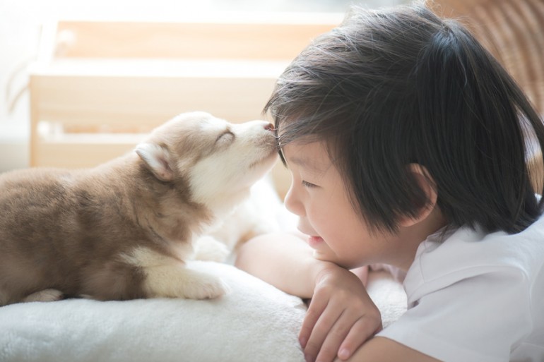 犬のキスはうれしい 危険 犬が口をなめる意味を真面目に考える みんなのペットライフ