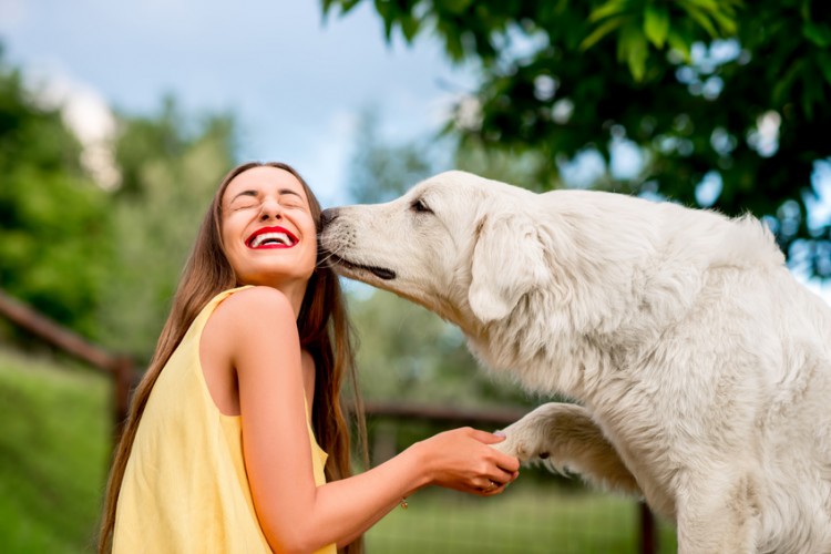 犬のキスはうれしい 危険 犬が口をなめる意味を真面目に考える みんなのペットライフ