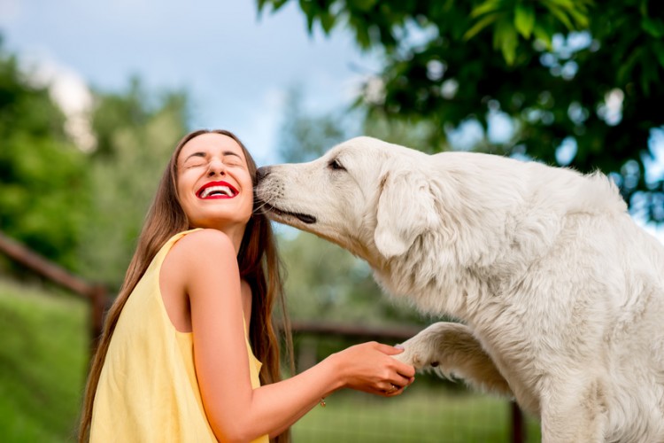 飼い主にキスをする犬