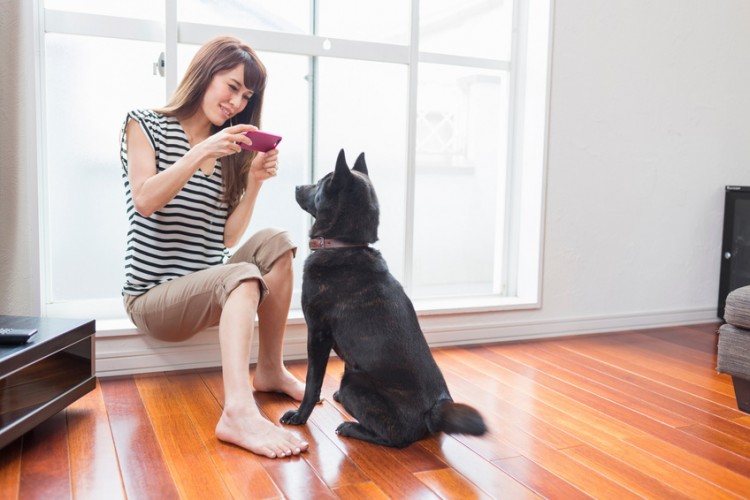 初心者向け スマホのカメラで愛犬 愛猫をかわいく撮影するコツ10選 みんなのペットライフ