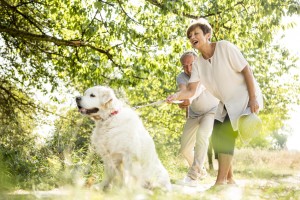犬も仮病を使うの 犬が仮病を使う理由や見分け方 対処法をご紹介 みんなのペットライフ 犬も仮病を使うの 犬が仮病を使う理由や見分け方 対処法をご紹介 みんなのペットライフ