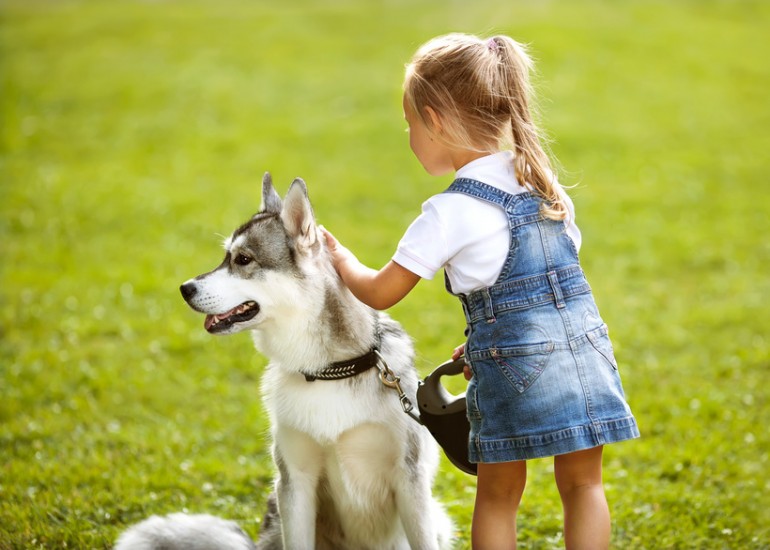 これであなたもテクニシャン 犬が喜ぶ5つのなでポイント みんなのペットライフ