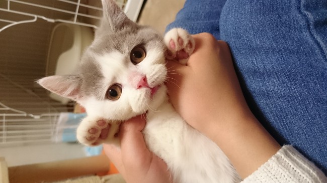 苦手な写真にイヤイヤ顔のみきちゃん。<br>表情の愛らしさもさることながら、ひげ袋のぷっくり具合たまらない( *´Д｀)