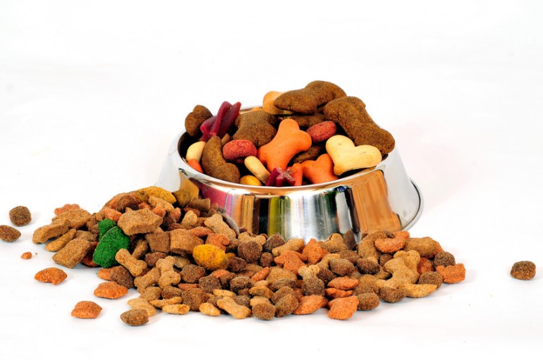 【獣医師執筆】子犬の餌はどれくらいの量が目安？ 食事の回数・与え方まとめ｜みんなのペットライフ