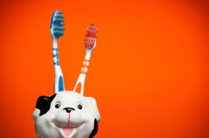 獣医師執筆 子犬の歯磨きはいつから始める 歯磨きの頻度 手順まとめ みんなのペットライフ 獣医師執筆 子犬の歯磨きはいつから始める 歯磨きの頻度 手順まとめ みんなのペットライフ