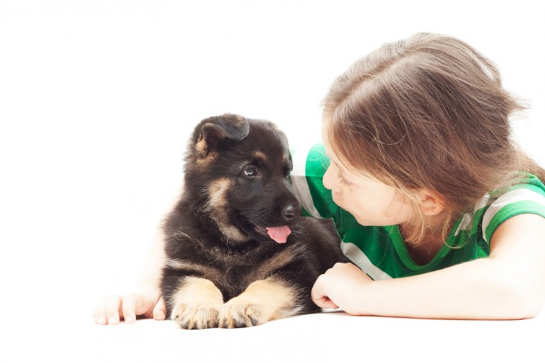 [最も選択された] 犬 しゃっくり 嘔吐 271641犬 しゃっくり 嘔吐