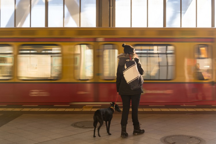 犬と電車や新幹線に乗るときの注意点 乗車時の手続き方法 料金 ルールをご紹介 みんなのペットライフ