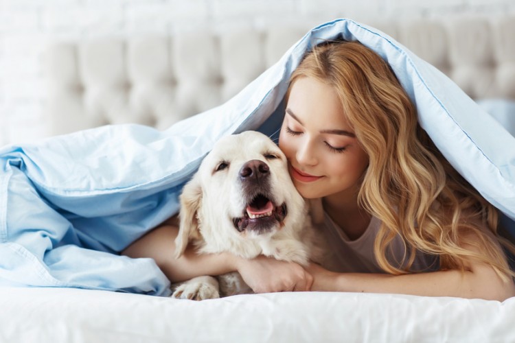 一人暮らしでも犬が飼いたい 単身者におすすめの犬種 飼育時の注意点 みんなのペットライフ