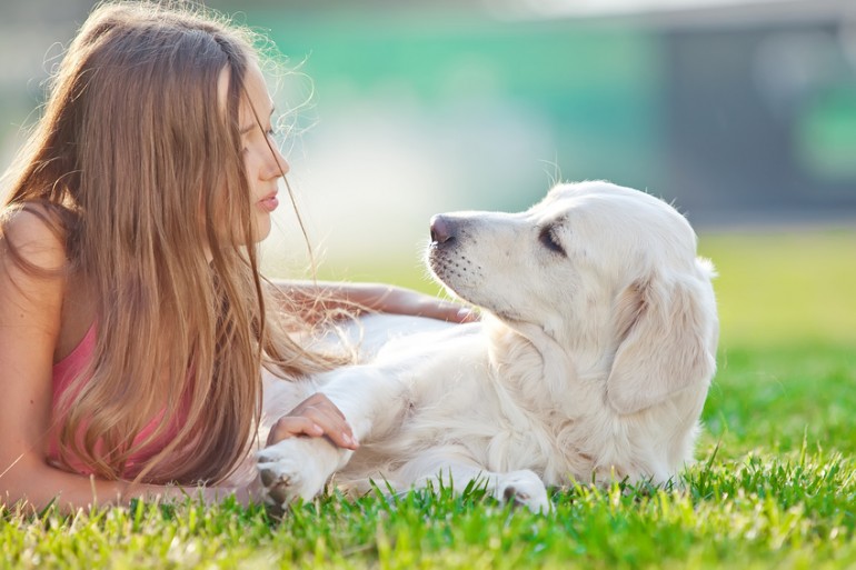 子犬のしつけはいつから 基本の考え方から知っておきたい3つのポイントまで みんなのペットライフ