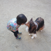 犬も仮病を使うの 犬が仮病を使う理由や見分け方 対処法をご紹介 みんなのペットライフ 犬も仮病を使うの 犬が仮病を使う理由や見分け方 対処法をご紹介 みんなのペットライフ