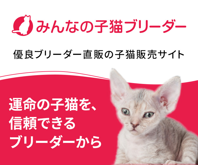 みんなの子猫ブリーダー