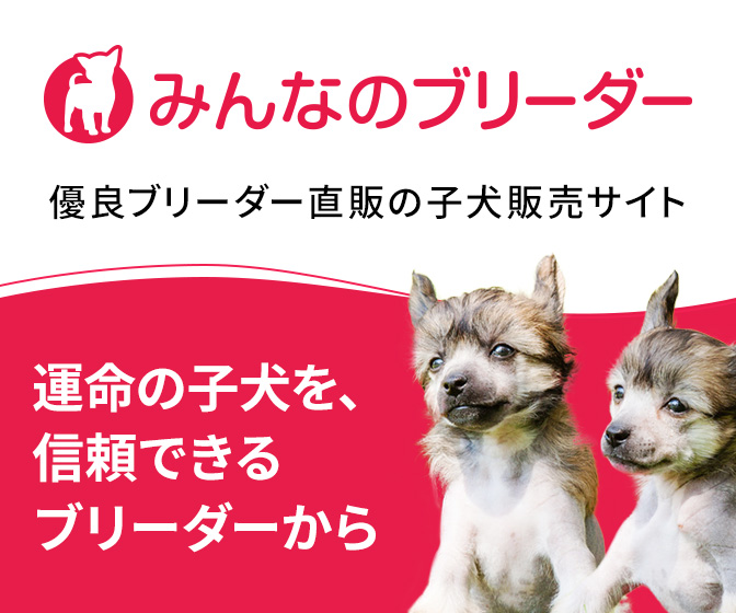 みんなのブリーダー