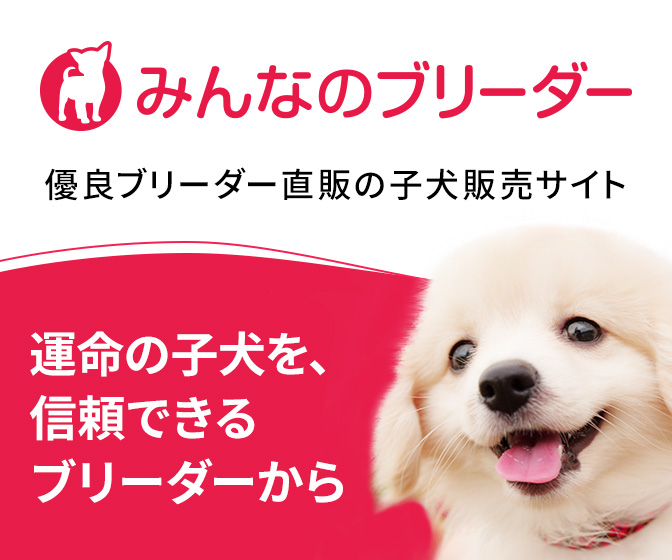 みんなのブリーダー