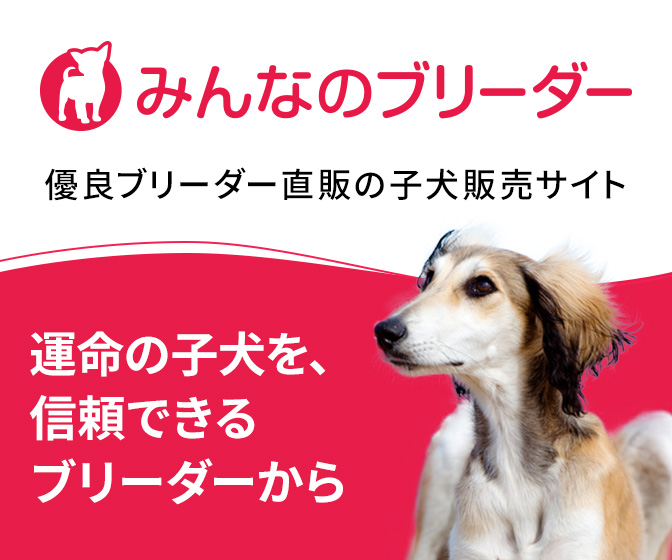 みんなのブリーダー