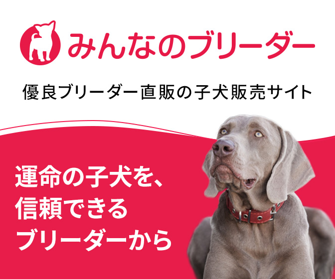 みんなのブリーダー