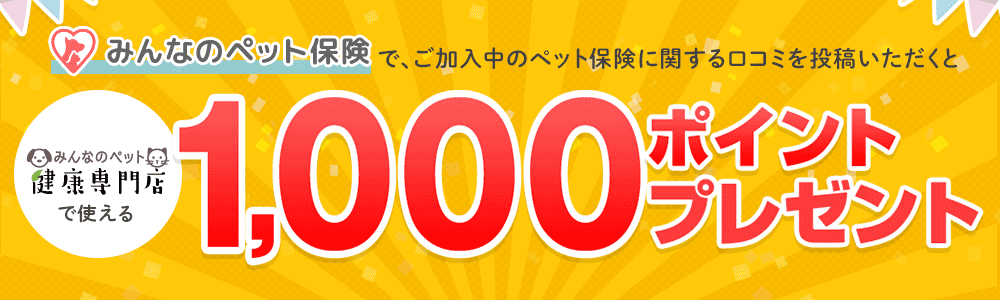 みんなのペット保険でご加入中のペット保険に関する口コミを投稿いただくと、みんなのペット健康専門店で使える1,000ポイントプレゼント