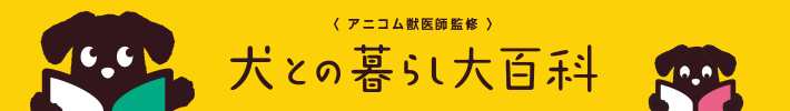 トイプードルの平均寿命は何歳 健やかに暮らすためのポイント みんなのペットライフ